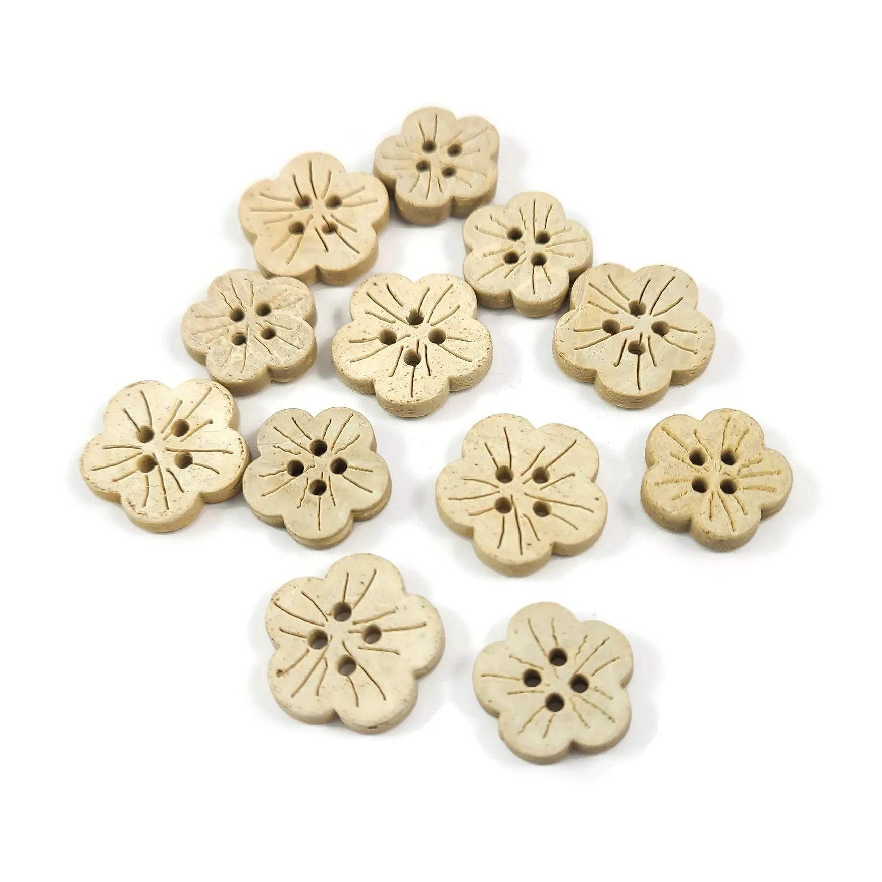 6 Flower shape white coconut buttons