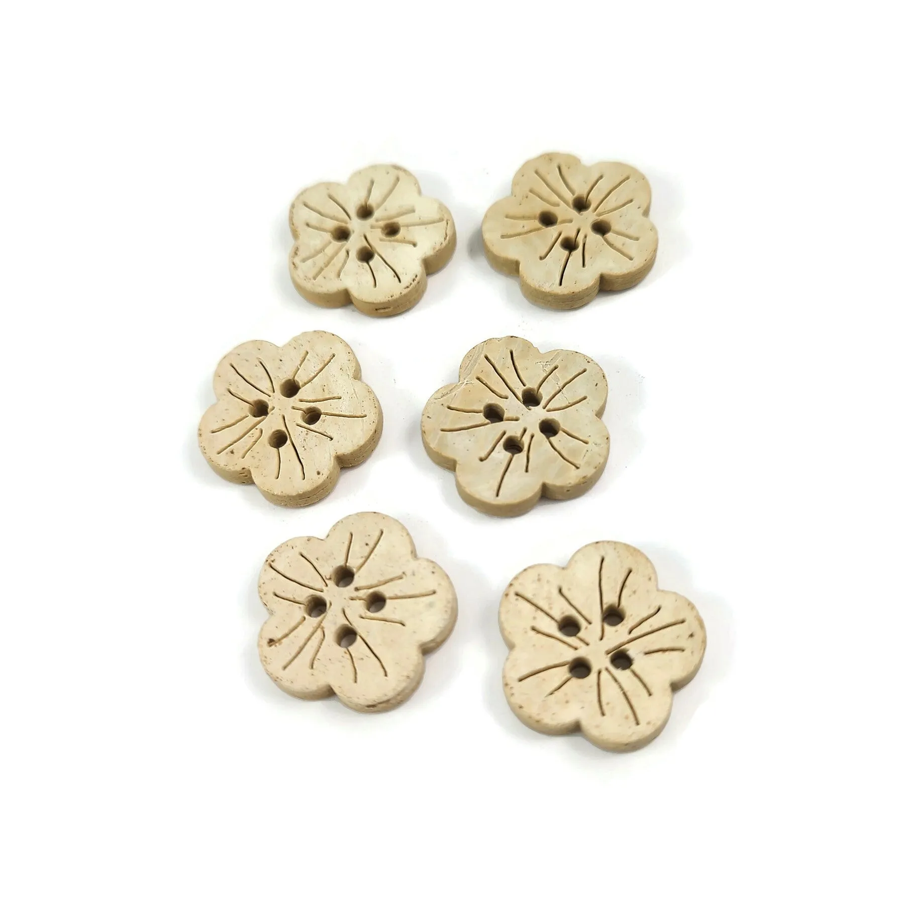 6 Flower shape white coconut buttons