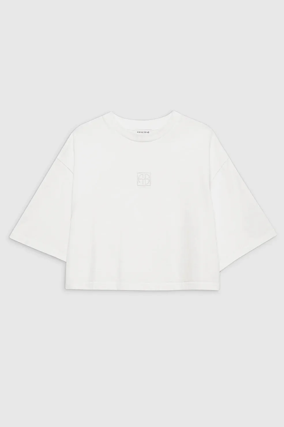 Anine Bing Myers Cropped Tee Framed Monogram