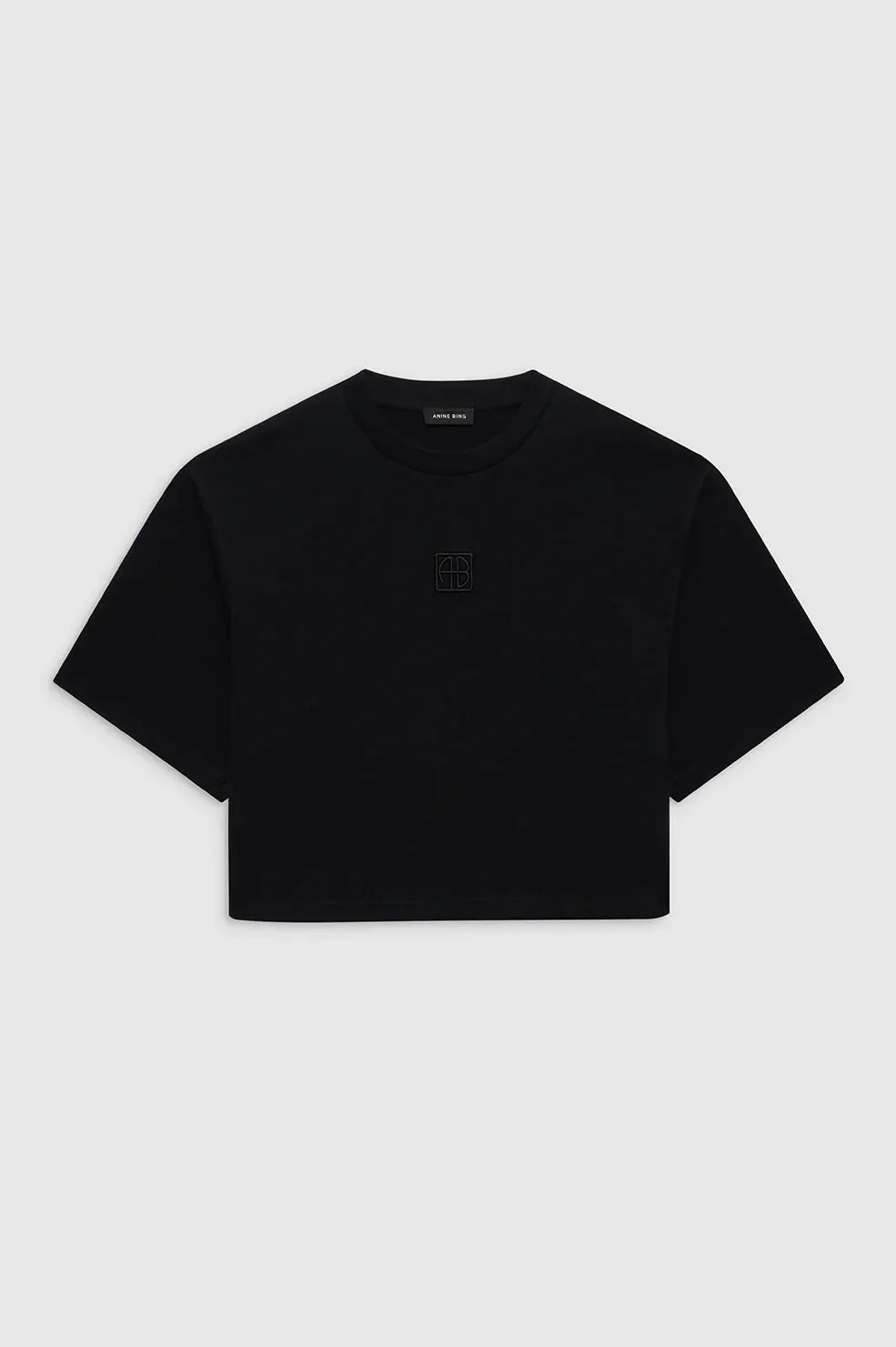 Anine Bing Myers Cropped Tee Framed Monogram